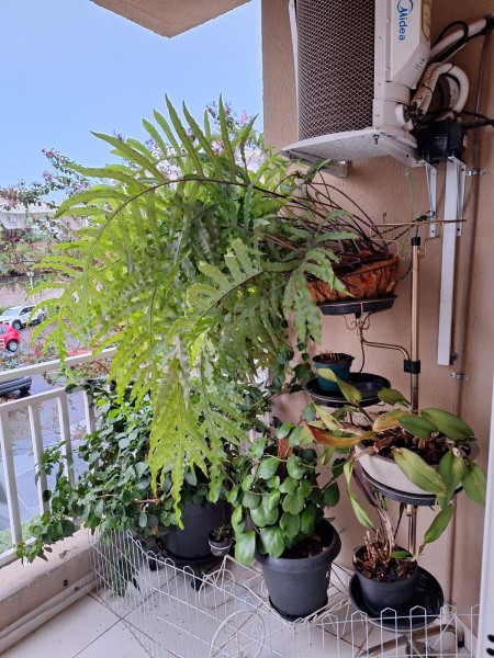 Apartamento à venda Jardim Bandeirantes com 622m² e 2 quartos por R$ 500.000 - 1402457813-whatsapp-image-2024-02-19-at-15.jpeg