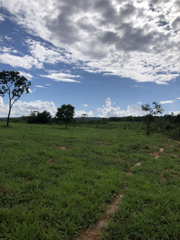 Fazenda à venda Centro com 20700000m² e 3 quartos por R$ 4.000.000 - 1268948824-img-2316.JPG