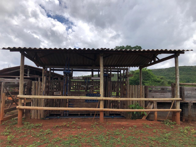 Fazenda à venda Centro com 20700000m² e 3 quartos por R$ 4.000.000 - 1498172149-imagem-do-whatsapp-de-2024-03-12-as-14.jpg