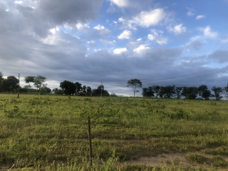 Fazenda à venda Centro com 20700000m² e 3 quartos por R$ 4.000.000 - 1802630601-img-1101.JPG