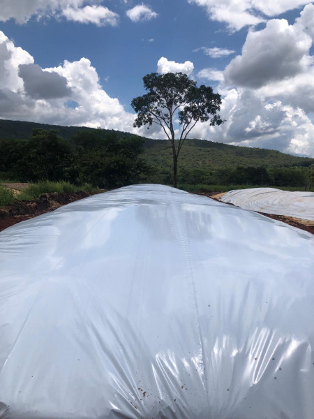 Fazenda à venda Centro com 20700000m² e 3 quartos por R$ 4.000.000 - 474816474-imagem-do-whatsapp-de-2024-03-12-as-14.jpg