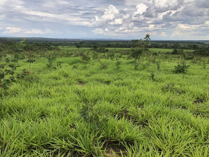 Fazenda à venda Centro com 20700000m² e 3 quartos por R$ 4.000.000 - 689487757-img-2290.JPG