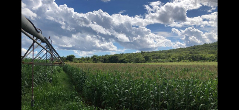 Fazenda à venda Centro com 20700000m² e 3 quartos por R$ 4.000.000 - 706084460-imagem-do-whatsapp-de-2024-03-12-as-14.jpg