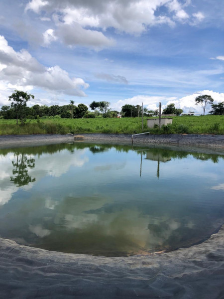Fazenda à venda Centro com 20700000m² e 3 quartos por R$ 4.000.000 - 916467604-imagem-do-whatsapp-de-2024-03-12-as-14.jpg