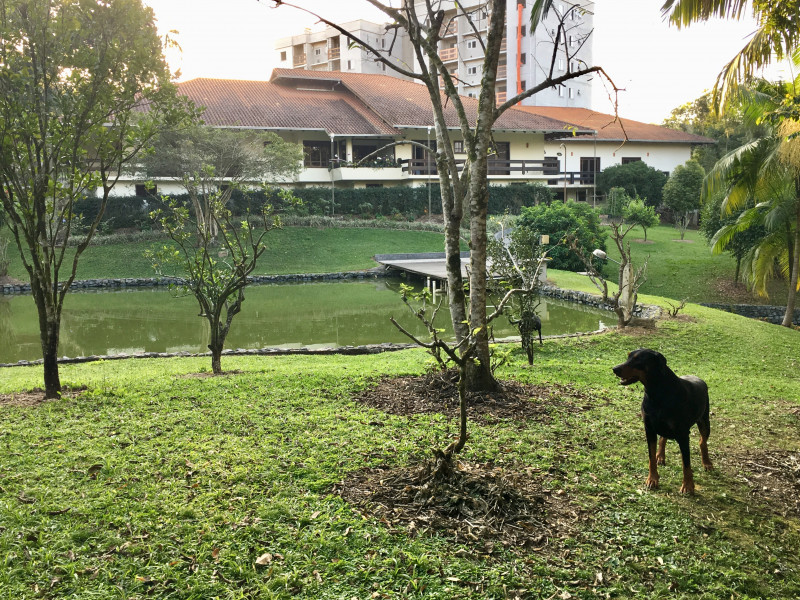 Casa à venda Passo Manso com 725m² e 4 quartos por R$ 4.500.000 - 1851347453-030.JPG
