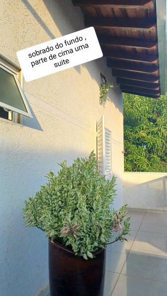 Casa para alugar Centro com 281m² e 4 quartos por R$ 0 - 497003055-20240212-182618.jpg