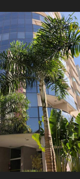 Comercial à venda Ipiranga  com 32m² e 0 quartos por R$ 299.000 - 624617174-screenshot-20240313-145137-gallery.jpg