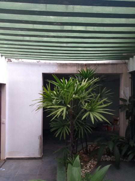 Casa à venda Centro com 340m² e 3 quartos por R$ 1.000.000 - 1167071116-img-20240312-wa0018.jpg