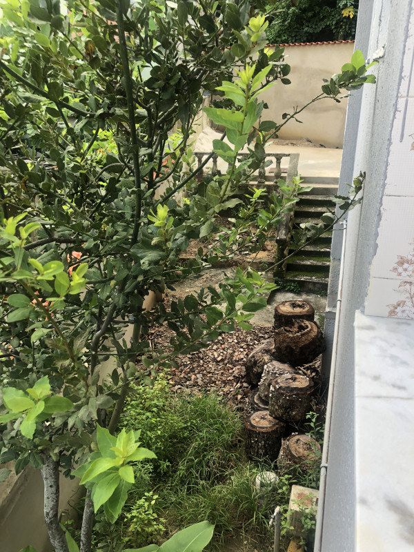 Casa à venda Barra de Guaratiba com 180m² e 1 quarto por R$ 200.000 - 585635165-img-8084.jpeg