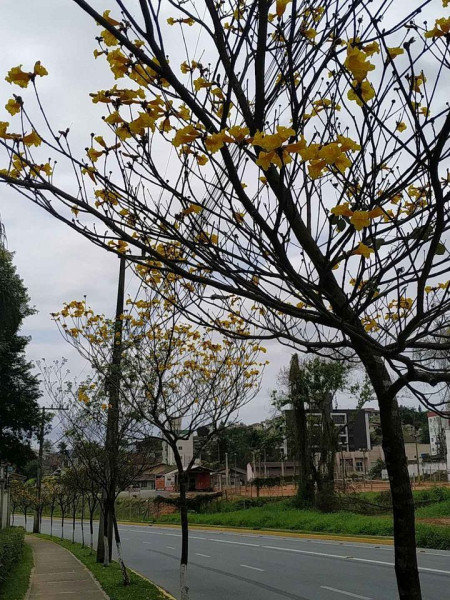 Apartamento à venda petropolis com 47m² e 2 quartos por R$ 200.000 - 1428437826-432456113-1430599694551789-3804303791866693403-n.jpg