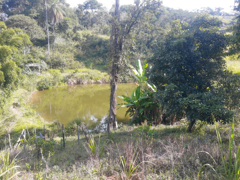 Sítio à venda Centro com 15000m² e 3 quartos por R$ 200.000 - 1177453387-whatsapp-image-2024-03-14-at-20.jpeg
