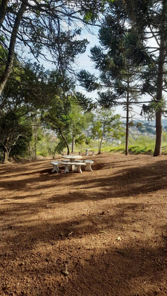 Terreno à venda Santo Antônio com 230m² e 0 quartos por R$ 140.000 - 1941653988-inbound7858338923916284944.jpg