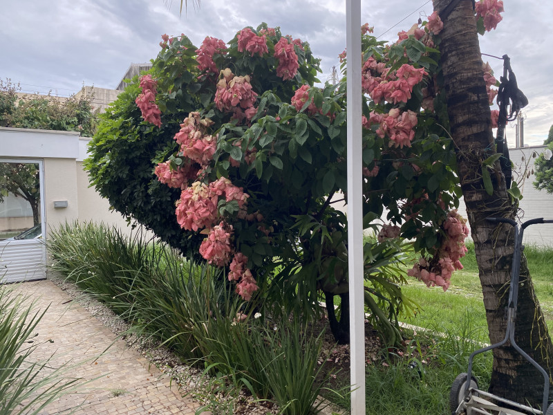 Casa à venda Morada de Camburí com 409m² e 5 quartos por R$ 2.790.000 - 558533392-img-8061.jpeg