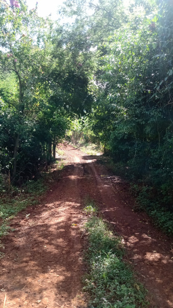 Sítio à venda Centro com 72600m² e 3 quartos por R$ 950.000 - 1145743596-img-20240311-wa0016.jpeg