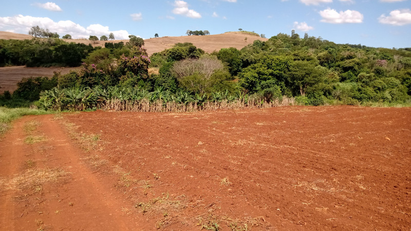 Sítio à venda Centro com 72600m² e 3 quartos por R$ 950.000 - 1537014201-img-20240311-wa0009.jpeg