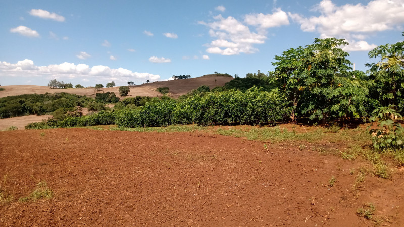 Sítio à venda Centro com 72600m² e 3 quartos por R$ 950.000 - 260885907-img-20240311-wa0002.jpeg