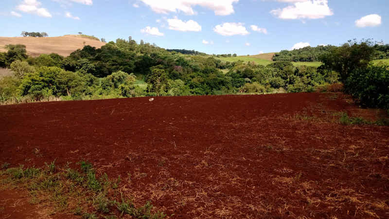 Sítio à venda Centro com 72600m² e 3 quartos por R$ 950.000 - 704923901-img-20240311-wa0007.jpeg