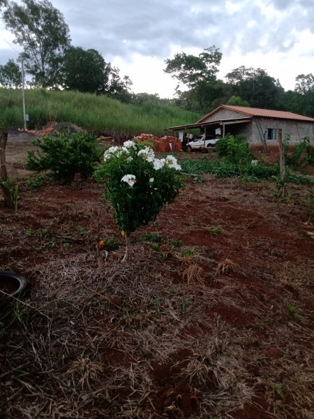 Sítio à venda Centro com 72600m² e 3 quartos por R$ 950.000 - 921395370-img-20220120-192115665.jpg