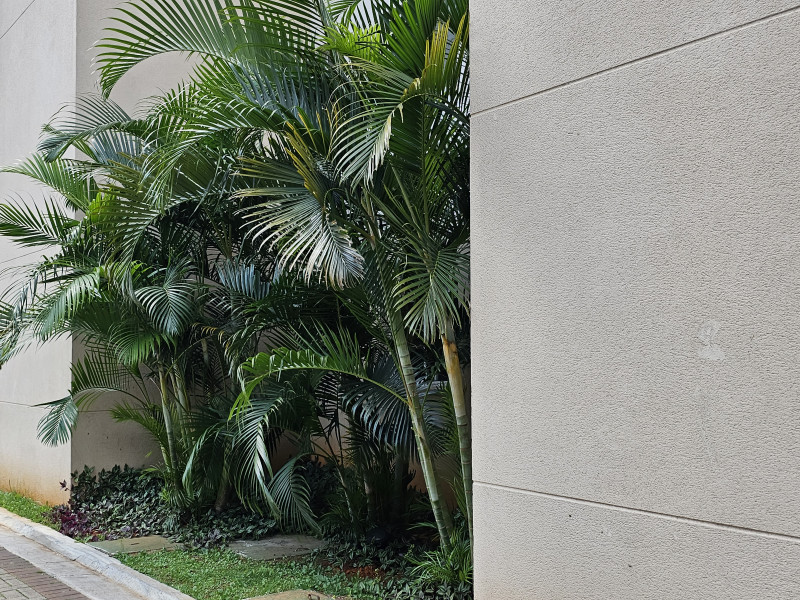 Apartamento à venda Cambuci com 40m² e 2 quartos por R$ 300.000 - 760186490-5.jpg