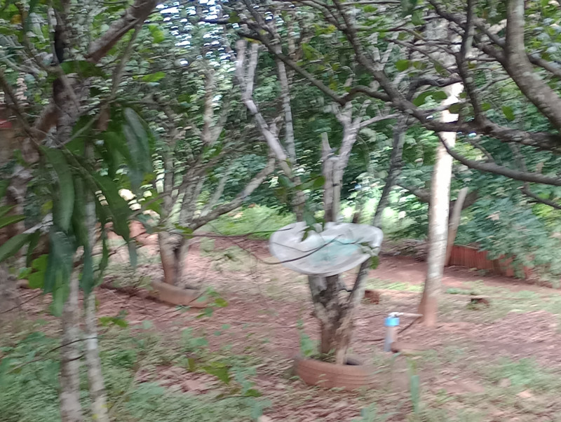 Chácara à venda Jardim Imperial com 1500m² e 1 quarto por R$ 80.000 - 369483081-img-20240207-165024642.jpg