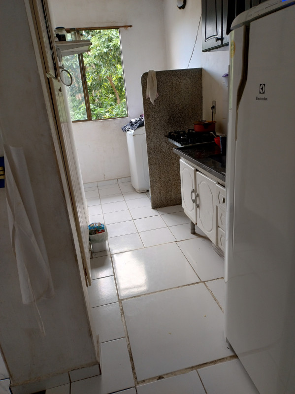 Apartamento à venda Reino com 52m² e 2 quartos por R$ 395.000 - 1394631106-1000026474.jpg