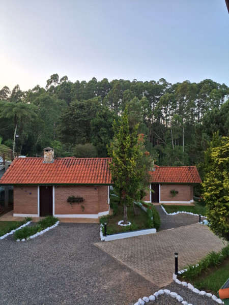 Comercial à venda Veloso com 4500m² e 0 quartos por R$ 3.500.000 - 1449061549-img-20240318-wa0021.jpg