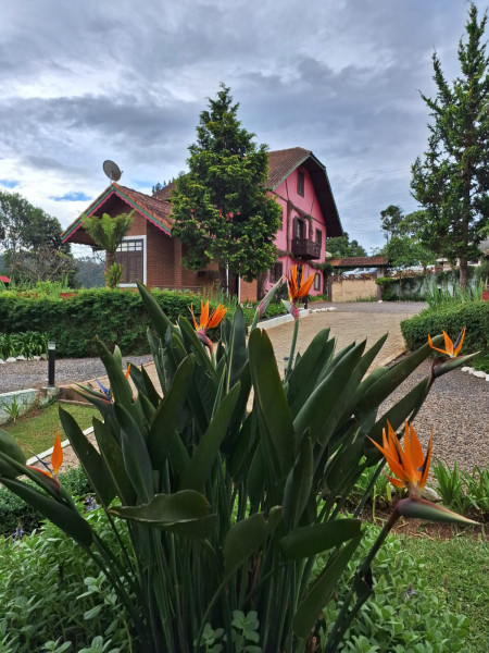 Comercial à venda Veloso com 4500m² e 0 quartos por R$ 3.500.000 - 2062932243-img-20240318-wa0012.jpg
