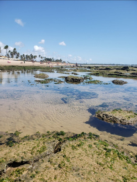 Apartamento à venda Centro  com 80m² e 3 quartos por R$ 535.000 - 1465503628-screenshot-20240304-211456-whatsapp.jpg