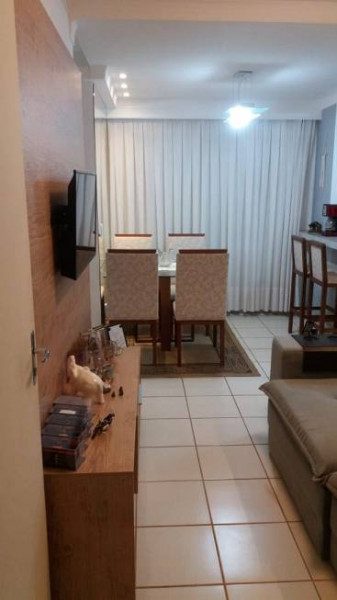 Apartamento à venda Jardim Marajo com 56m² e 2 quartos por R$ 215.000 - 355490918-foto-3-de-apartamento-com-2-quartos-a-venda-56m-em-jardim-planalto-sao-jose-do-rio-preto.jpg