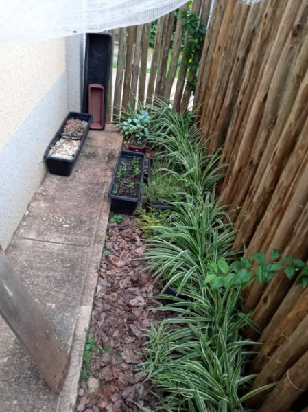 Apartamento à venda Jardim Marajo com 56m² e 2 quartos por R$ 215.000 - 855359713-foto-24-de-apartamento-com-2-quartos-a-venda-56m-em-jardim-planalto-sao-jose-do-rio-preto.jpg