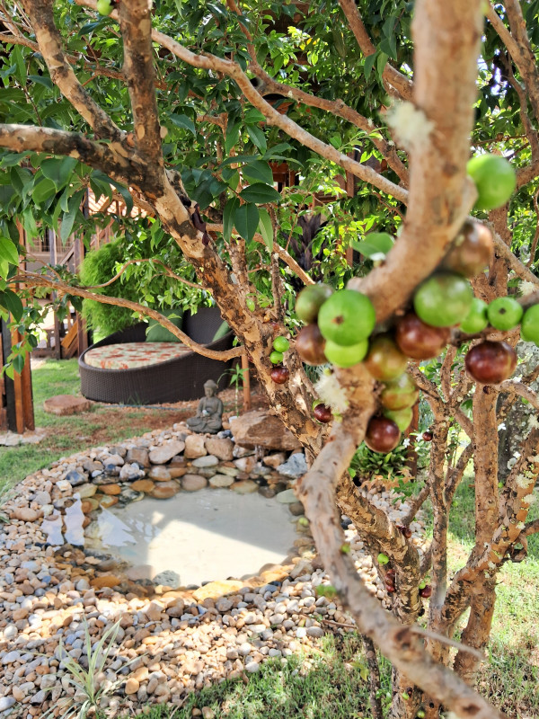 Casa à venda Jardim Itapema com 86m² e 2 quartos por R$ 460.000 - 664908296-1000163372.jpg