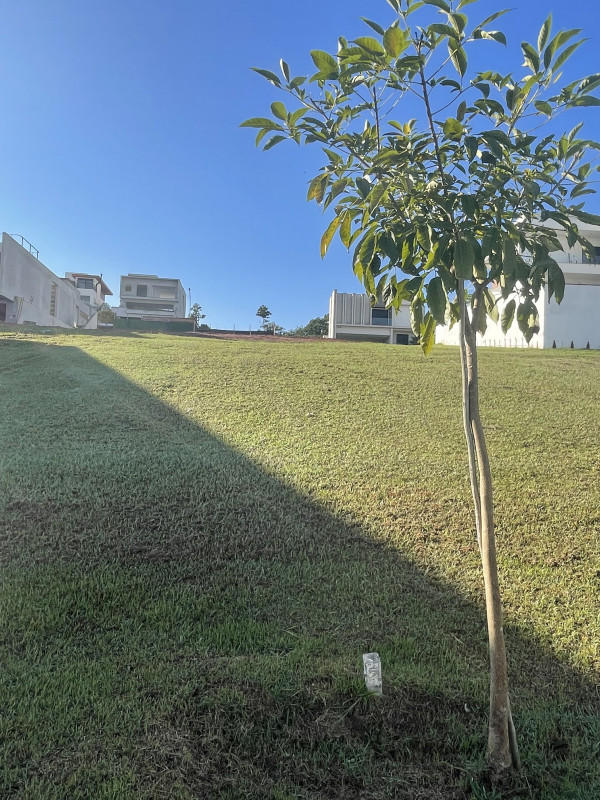 Terreno à venda Condomínio Residencial Alphaville I com 522m² e 0 quartos por R$ 890.000 - 1230306083-img-2113.jpg
