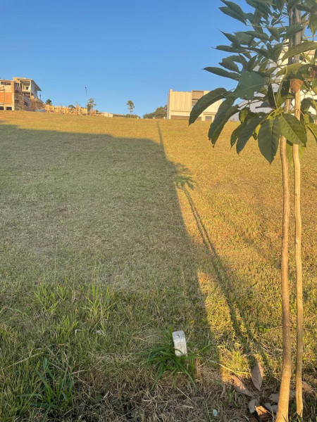 Terreno à venda Condomínio Residencial Alphaville I com 522m² e 0 quartos por R$ 890.000 - 1344550369-photo-2023-02-08-10-02-25-2.jpg