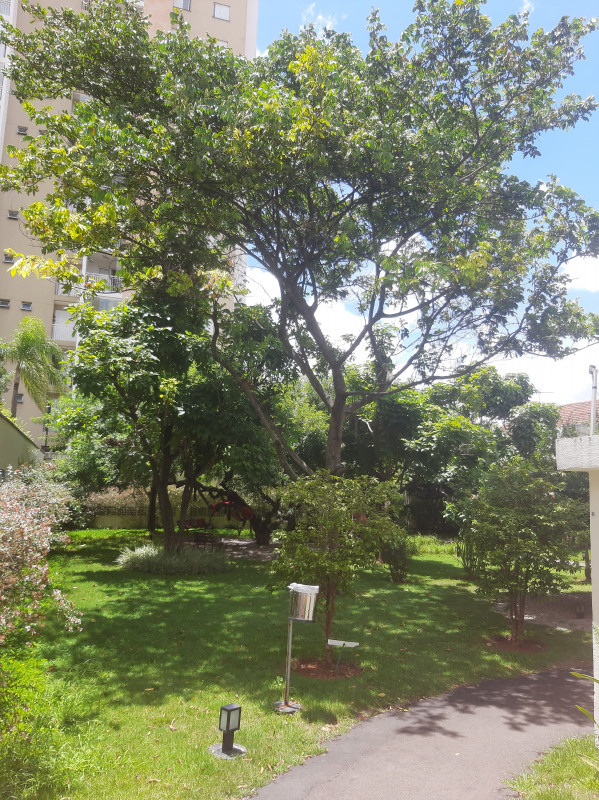 Apartamento à venda Mooca com 64m² e 2 quartos por R$ 5.800.000 - 102808590-inbound4673375350391087994.jpg