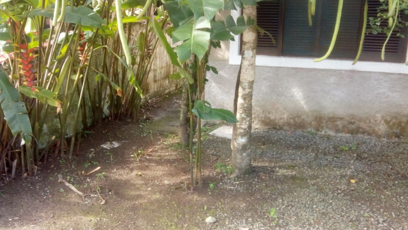 Casa de condomínio à venda Morada da Praia com 150m² e 4 quartos por R$ 1.200.000 - 1672996362-img-20240207-wa0011.jpg