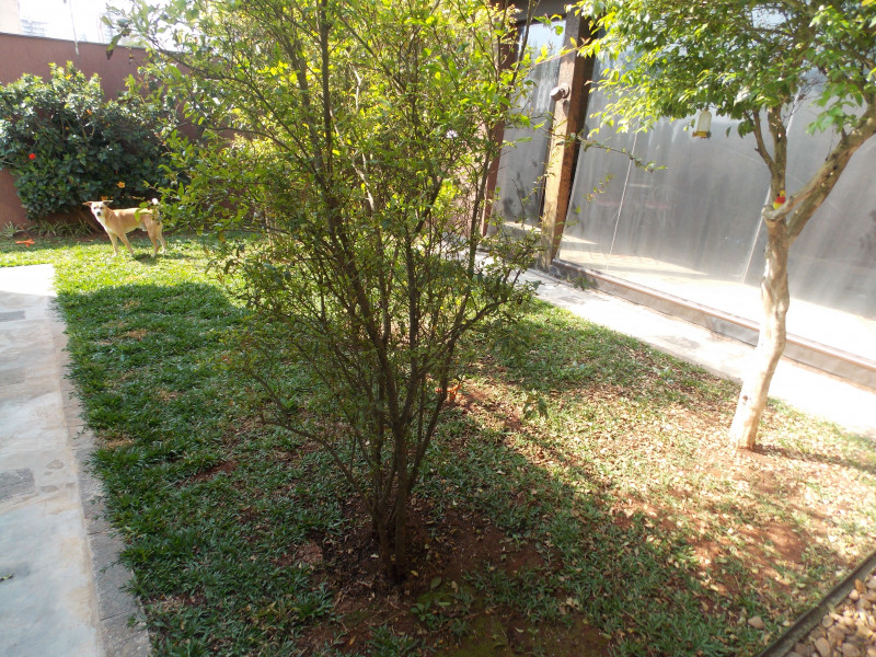 Casa à venda Centro com 215m² e 5 quartos por R$ 1.450.000 - 948392896-dscn0441.jpg