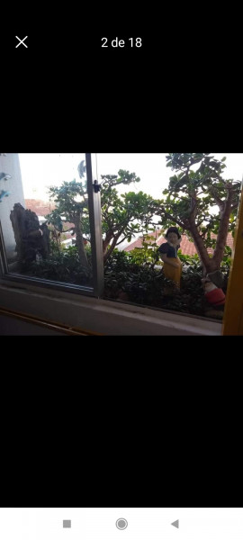 Apartamento à venda Santa Quitéria com 47m² e 2 quartos por R$ 185.000 - 219817469-screenshot-2023-02-07-23-05-18-220-com.jpg