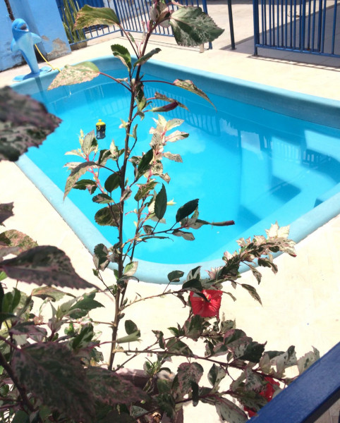 Casa à venda Aeroporto com 220m² e 4 quartos por R$ 130.000 - 1478805867-1000119786.jpg