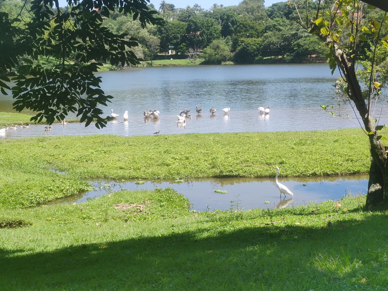 Chácara à venda Colinas do Mosteiro de Itaici com 460m² e 4 quartos por R$ 3.800.000 - 1006554954-46.jpg