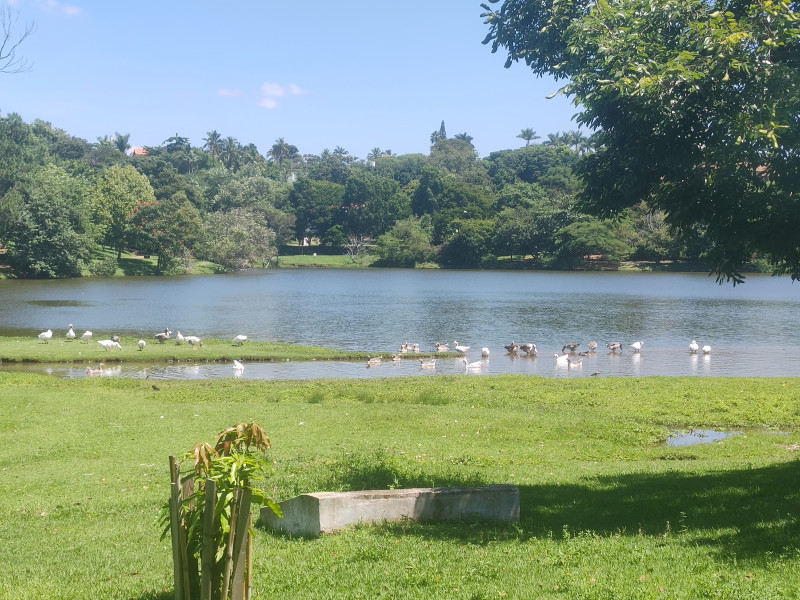Chácara à venda Colinas do Mosteiro de Itaici com 460m² e 4 quartos por R$ 3.800.000 - 210709868-45.jpg