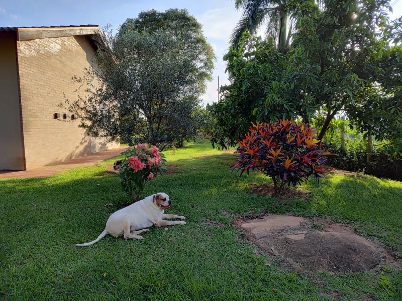 Chácara à venda Colinas do Mosteiro de Itaici com 460m² e 4 quartos por R$ 3.800.000 - 563616850-06.jpg