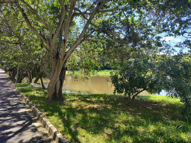 Chácara à venda Colinas do Mosteiro de Itaici com 460m² e 4 quartos por R$ 3.800.000 - 787547897-49.jpg