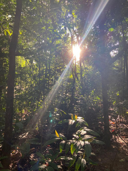 Apartamento à venda Alphaville Empresarial com 326m² e 4 quartos por R$ 4.700.000 - 94951481-photo-2024-03-21-18-41-03-25.jpg