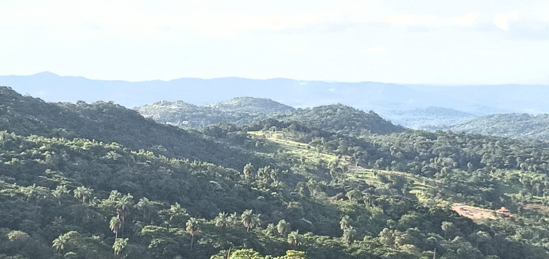 Terreno à venda Centro com 1000m² e 0 quartos por R$ 55 - 139882035-img-20230822-wa0069.jpg