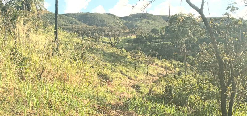 Terreno à venda Centro com 1000m² e 0 quartos por R$ 55 - 1936546549-img-20230822-wa0076.jpg