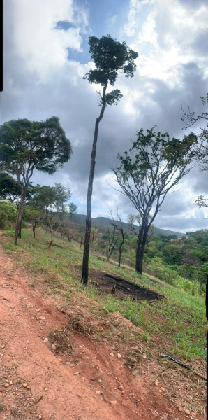 Terreno à venda Centro com 1000m² e 0 quartos por R$ 55 - 2074403715-img-20240309-wa0025.jpg
