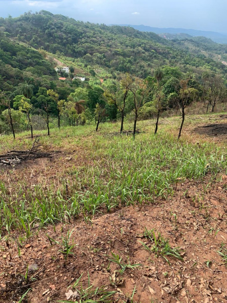 Terreno à venda Centro com 1000m² e 0 quartos por R$ 55 - 665891456-img-20240309-wa0021.jpg