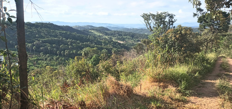 Terreno à venda Centro com 1000m² e 0 quartos por R$ 55 - 92939631-img-20230822-wa0054.jpg
