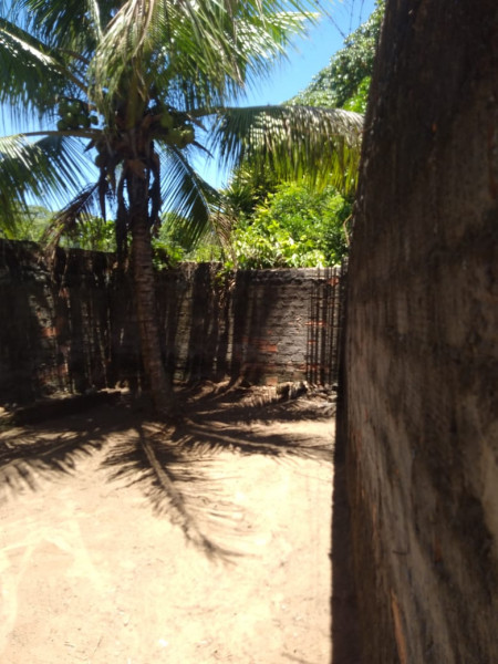 Casa à venda Pitanguinha com 197m² e 2 quartos por R$ 170.000 - 904794070-imagem-do-whatsapp-de-2024-01-31-as-12.jpg