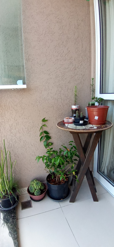 Apartamento à venda Uberaba com 86m² e 3 quartos por R$ 565.430 - 6609964-varanda-1.jpg